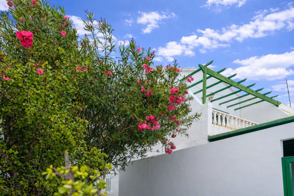 South-facing property in the heart of Puerto del Carmen just minutes from Playa Grande - Puerto Del Carmen - lanzaroteproperty.com